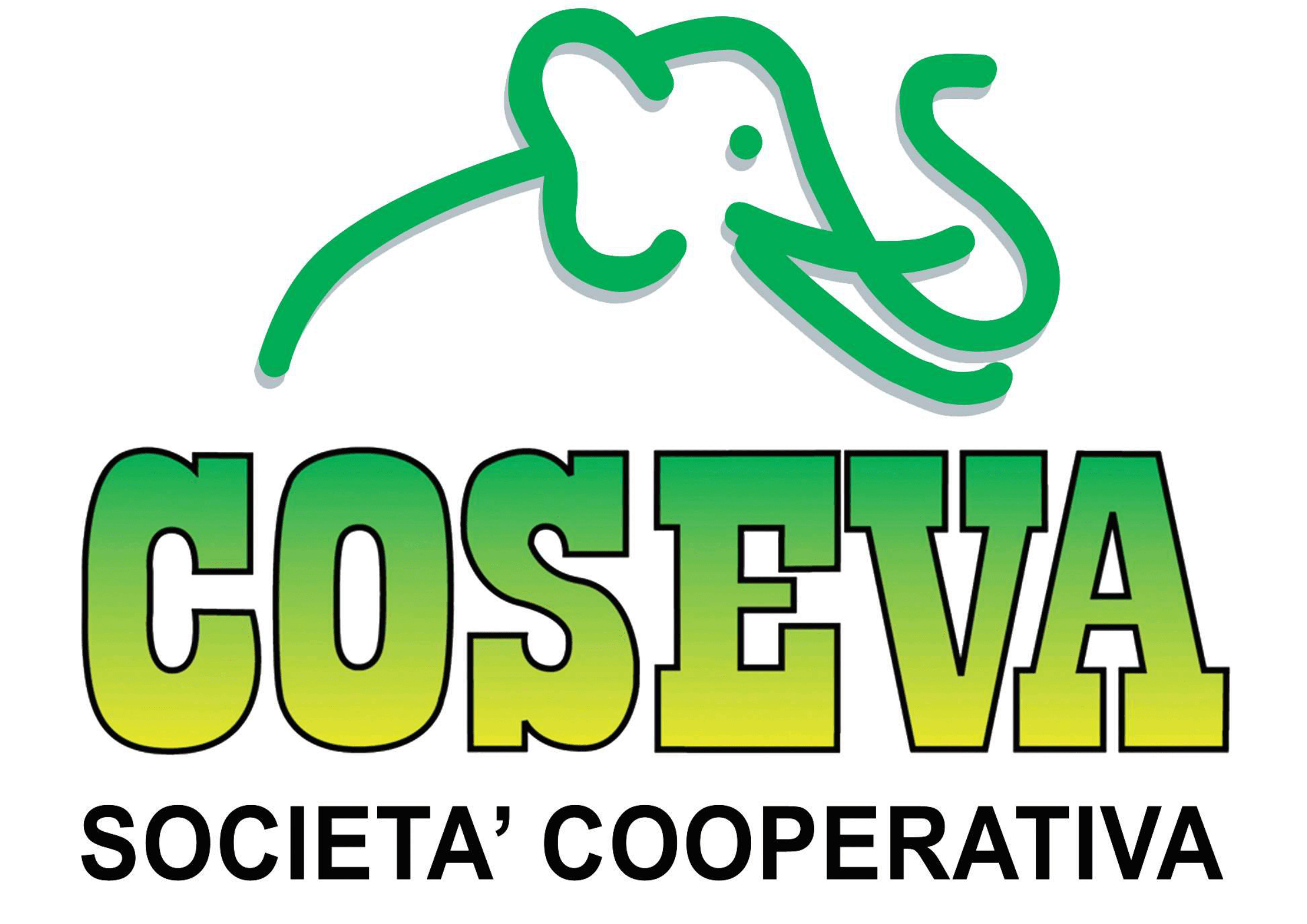 COSEVA SOCIETA' COOPERATIVA