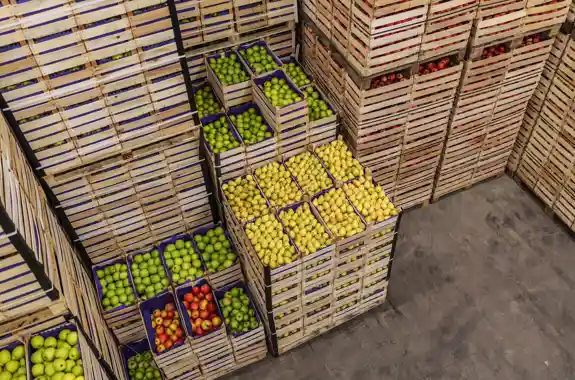 Pegno Rotativo